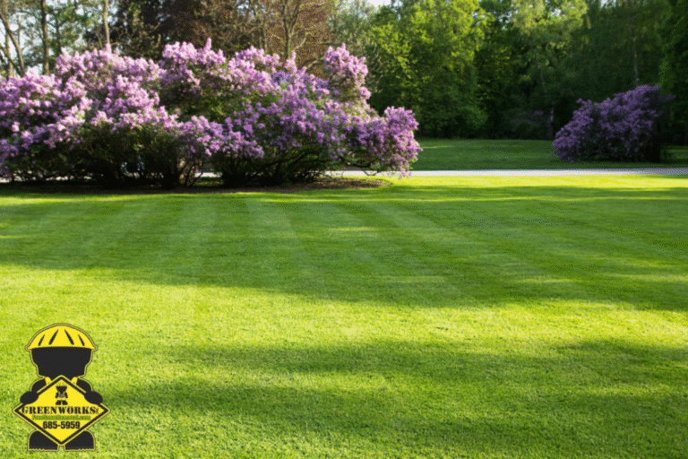 lawn care