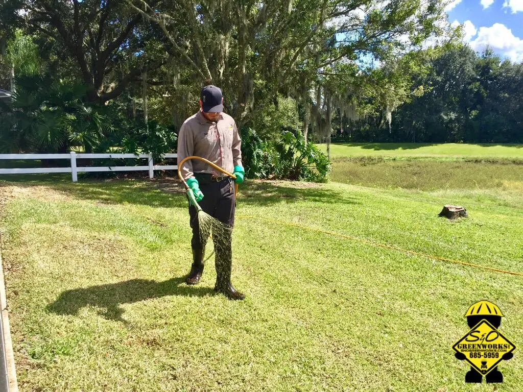 Pest Control Wesley Chapel FL