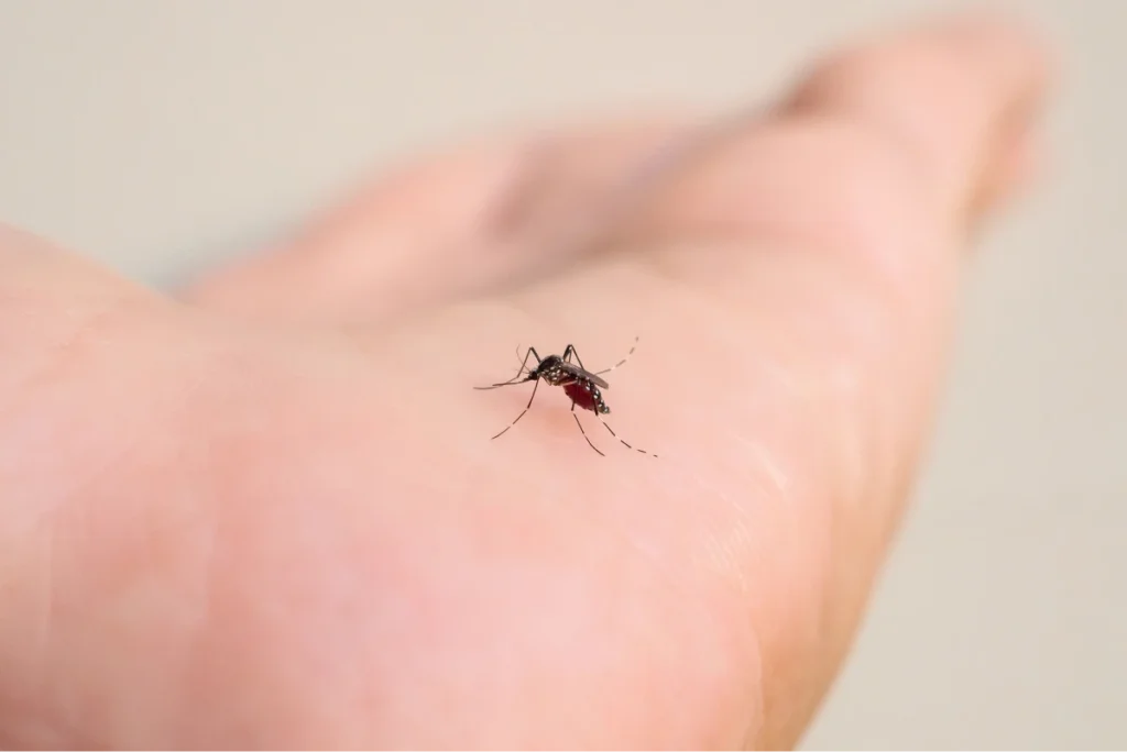 Dover FL Exterminator