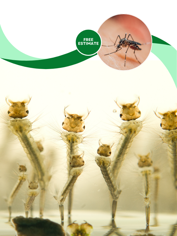 LP Mosquito Control Mobile