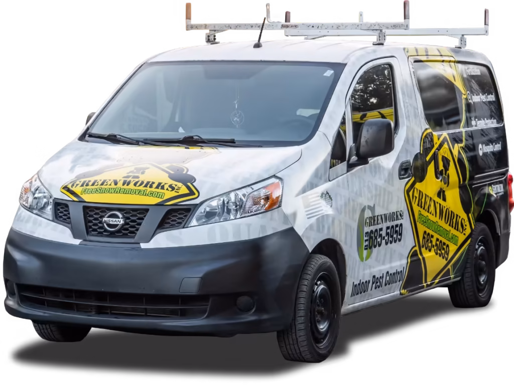 pest control near Bloomingdale FL