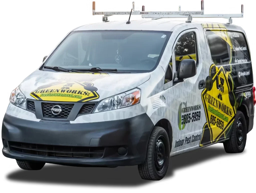 Pest Control Zephyrhills