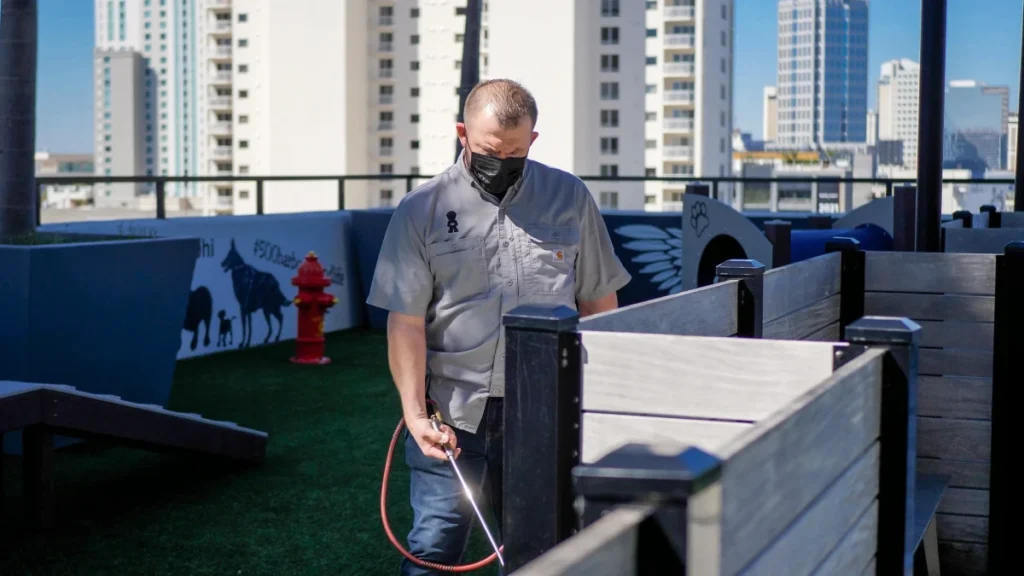 exterminator brandon fl