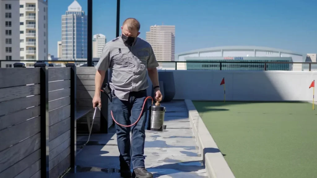 Pest Control Tampa