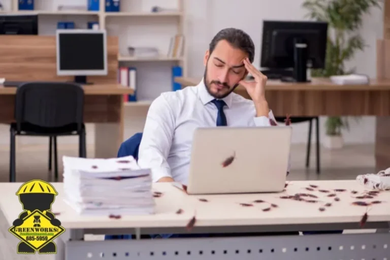 cockroaches in the office